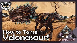 How To Tame Velonasaur  ARK Extinction [upl. by Econah484]