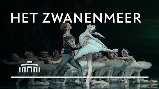 Het Zwanenmeer 2019 trailer  Het Nationale Ballet [upl. by Assetnoc]