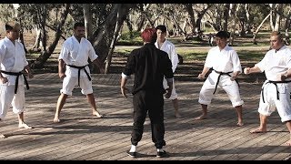 EXPECTATIONS VS REALITY  MARTIAL ARTS MOVIES [upl. by Lebiralc]