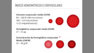 Biometría hemática Serie roja [upl. by Huppert332]