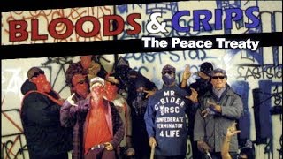 BLOODS amp CRIPS The Peace Treaty [upl. by Frayne]