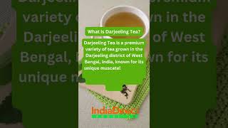 What is Darjeeling Tea [upl. by Xyla]