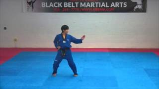 1st Dan Black Belt Poomsae Koryo Taekwondo [upl. by Anne-Corinne999]