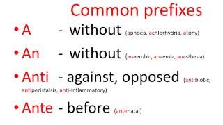 Medical terms  common prefixes [upl. by Terces]