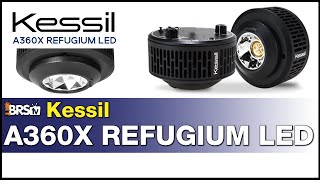 Kessil A360x Refugium Light Finally A fully controllable refugium LED horticulture light [upl. by Arammat]