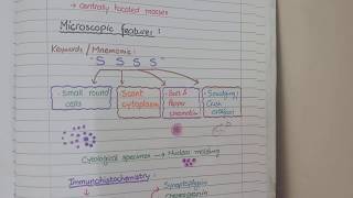 Understanding Small Cell Lung Cancer [upl. by Melburn]