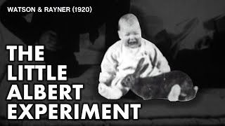 The Little Albert Experiment  Watson amp Rayner 1920 [upl. by Adniled]