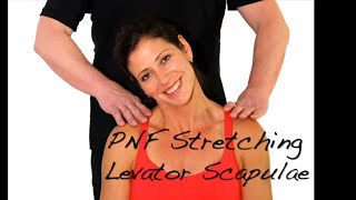 PNF Stretching  Levator Scapulae Muscle  Ask Dr Abelson [upl. by Nameerf]