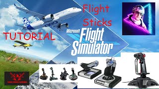 Microsoft Flight Simulator 2020  Flight Stick Tutorial amp How To Set It Up EASY SETUP GUIDE [upl. by Atwekk85]