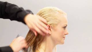 Aveda HowTo  Everyday Body amp Increased Volume for Fine Hair [upl. by Sclater]