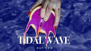 Chase Atlantic  Tidal Wave Official Lyric Video [upl. by Aisiat]