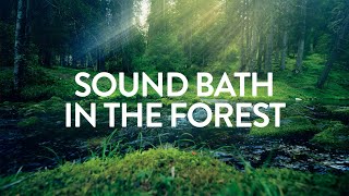 Sound Bath in the Forest ✦ A432Hz ✦ A Serene Forest Bath Accompanied by Gentle Ambient Tones [upl. by Llekim]