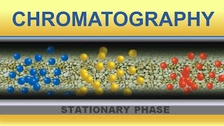 Chromatography Animation IQOGCSIC [upl. by Peednus870]