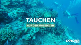 Malediven Tauchen  Malediven Unterwasserwelt GoPro [upl. by Marquardt]