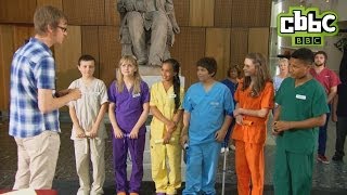 CBBC Junior Vets Episode 10  The Final [upl. by Kathryn]