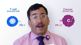 Explaining Immunotherapy PDL1 and PD1 [upl. by Ayerim]