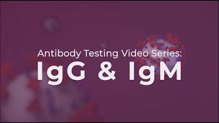 Antibody Testing IgG and IgM explained [upl. by Anillehs]