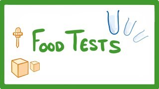 GCSE Biology  Food Tests Practicals 16 [upl. by Urial]