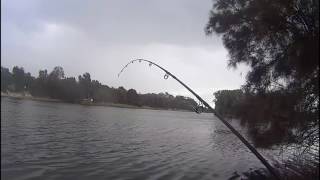 Fishing Narrabeen NSW [upl. by Ilagam]