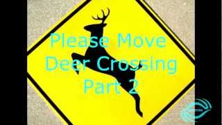 Please Move Deer Crossing Part 2 [upl. by Fairleigh402]