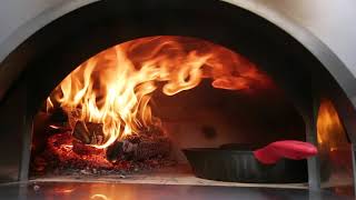 Forno Venetzia Pronto Series Wood Fired Oven [upl. by Aneelad]