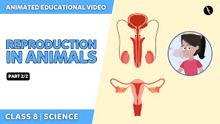 Reproduction In Animals  NCERT Science Class 8 Chapter 9  Part 22  English  Class 8 [upl. by Monreal]