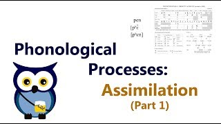 Phonological Processes Assimilation Part 1 [upl. by Yna944]