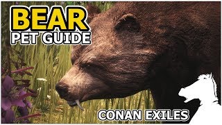 BEAR  Pets Guide  CONAN EXILES [upl. by Lenette]