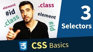 CSS Tutorial — Selectors Element Class and ID 313 [upl. by Ndnarb202]