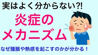 【知ってるようで知らない】炎症の仕組みについて解説 [upl. by Ynetruoc444]