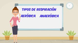 Respiración aeróbica y anaeróbica [upl. by Trow812]