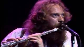 Jethro Tull  No Lullaby Flute solo live at [upl. by Yetta]