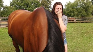 20 Most Heartwarming Animal Reunions with Owners [upl. by Doi]