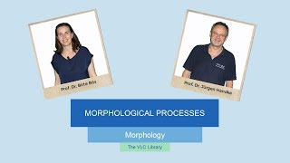 MOR104  Morphological Processes [upl. by Maroney56]