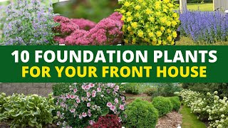 Top 10 EasyBreezy Foundation Plants for Your Front House 🏡 [upl. by Roxy]