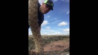 How to kill a Rattlesnake Properly [upl. by Nohsal]