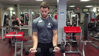 Y bicep curl into shoulder press [upl. by Ecyor]