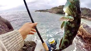 Lingcod Fishing From CLIFFS On The Oregon Coast CATCH amp COOK Lingcod [upl. by Nadual528]