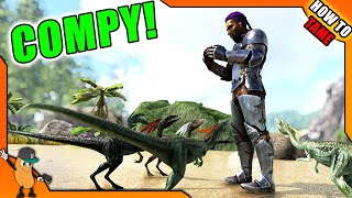 HOW TO TAME A COMPY  ARK How To Tame Series [upl. by Favin]