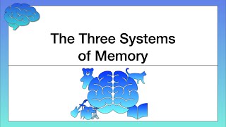 The Three Systems of Memory [upl. by Annovoj]