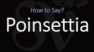 How to Pronounce Poinsettia CORRECTLY [upl. by Nagud]