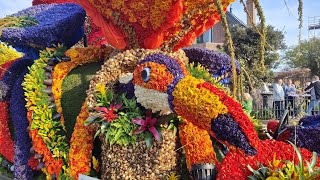 Bloemencorso 2023 Bollenstreek Holland [upl. by Pettifer]