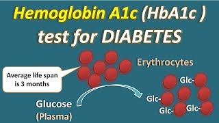 Hemoglobin A1c HbA1c test for diabetes [upl. by Agueda149]