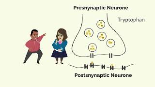 How Zoloft Sertraline Works [upl. by Einhpad]