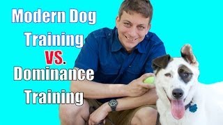 The Dominance Myth in Dog Training Explained [upl. by Nolaj86]