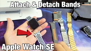 Apple Watch SE How to Attach amp Detach Bands [upl. by Einaej]