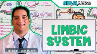 Neurology  Limbic System Anatomy amp Function [upl. by Amice268]