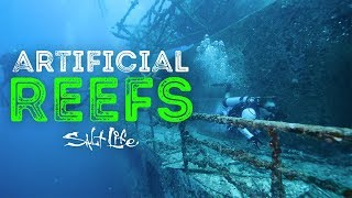 What are Artificial Reefs  Salt Life [upl. by Cheney374]