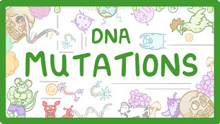 GCSE Biology  What are DNA Mutations 67 [upl. by Anstus381]