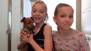 Brynn Rumfallo amp Jenna Valenzuela  Dance Hairstyles [upl. by Dauf]